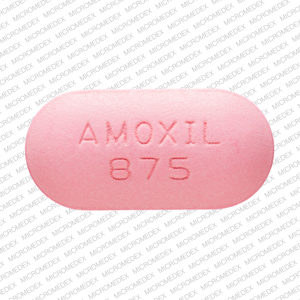 Buy Amoxil Pills Online – Sunbedbooster