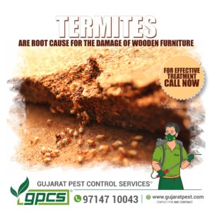 Termite Treatment