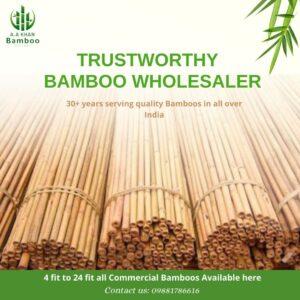 A A Khan Bamboo Merchant